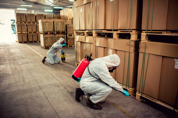 Reliable Blue Rapids, KS Pest Control Solutions