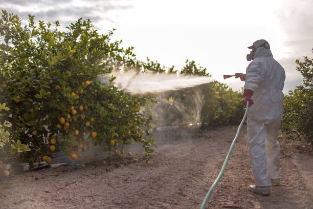 Best Commercial Pest Control Services  in Blue Rapids, KS