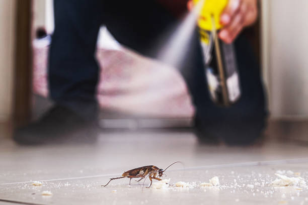 Best Cockroach Control Services  in Blue Rapids, KS